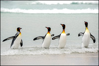 Falkland Islands Final  --0009