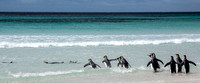 Falkland Islands Final  --0008