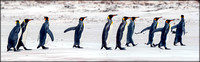 Falkland Islands Final  --0012